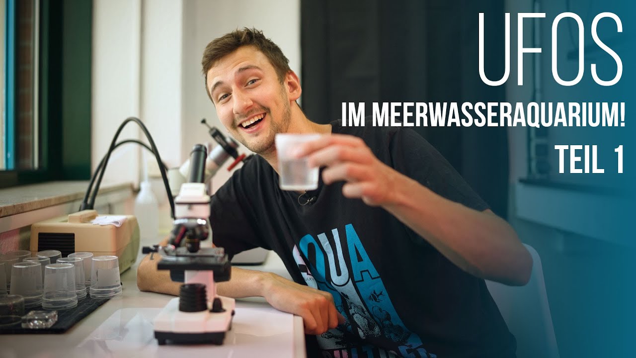 UFO´s im Meerwasseraquarium | Was krabbelt da? | Hitchhiker Teil 1 | Coralaxy