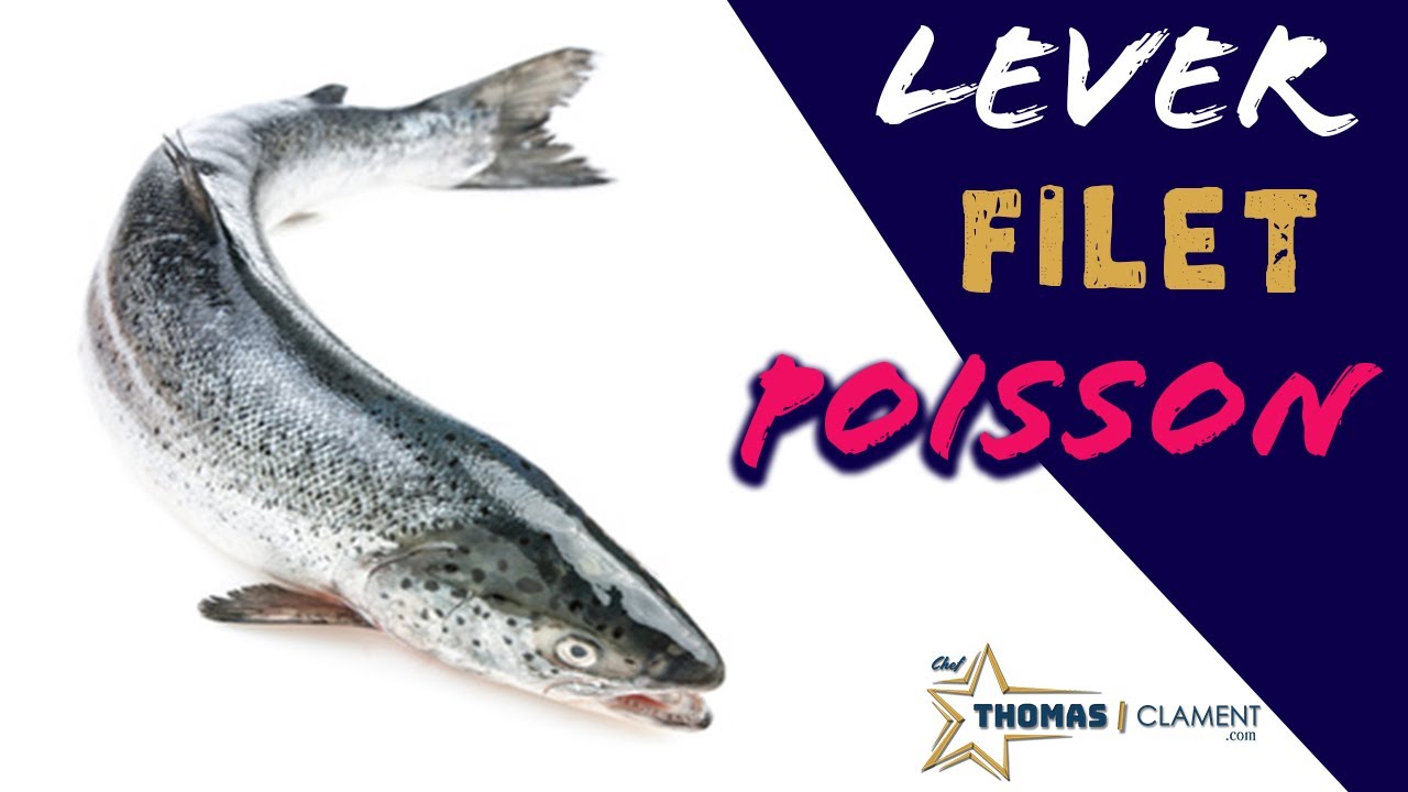 Comment lever un filet de Poisson / Chef Thomas CLAMENT