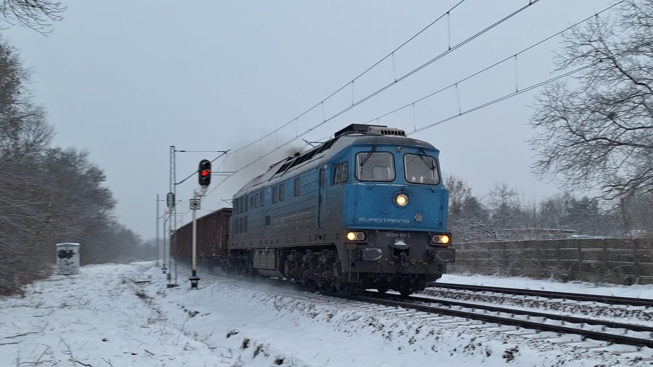 Błękitna Ludmiła Eurotransu z czeskimi węglarkami | Łódź Pabianicka 8.01.2026