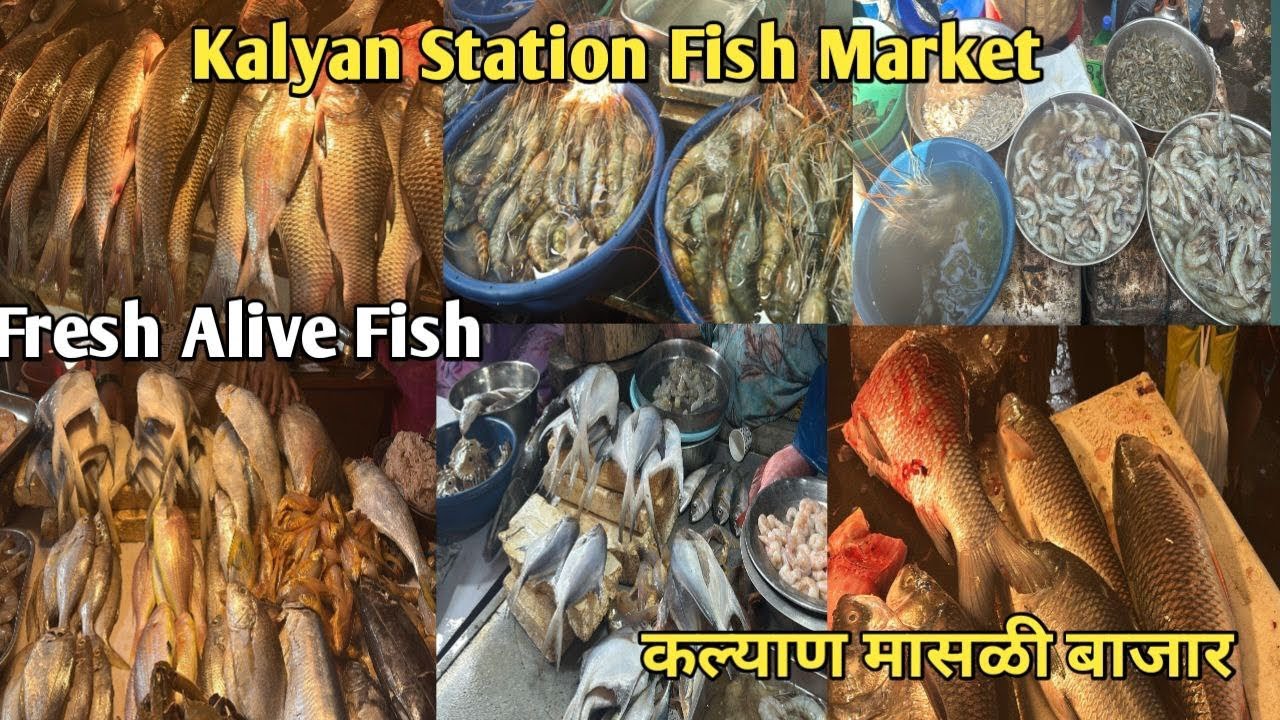कल्याण मासळी बाजार | Kalyan fish Market | Kalyan station fish market | कल्याण स्टेशन मासळी बाजार