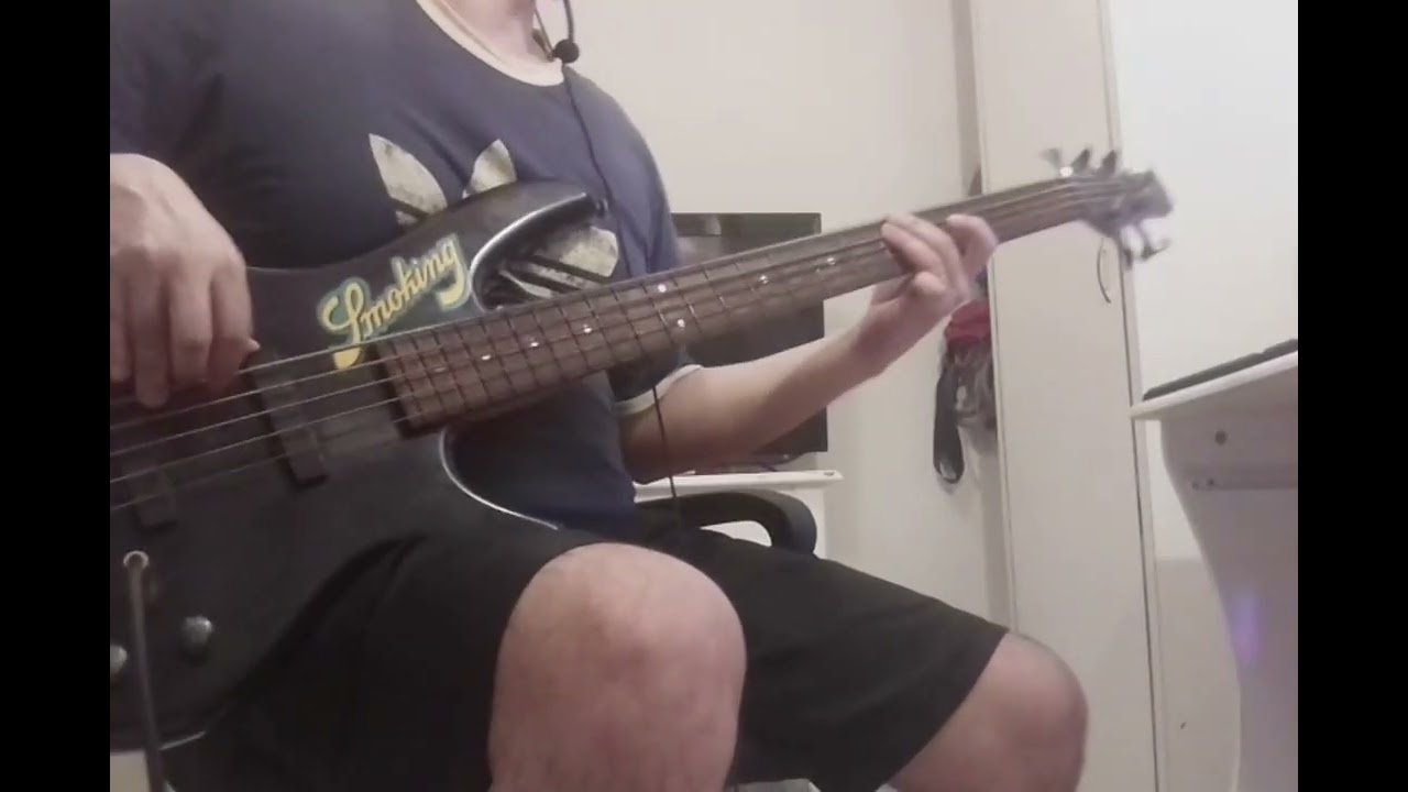 Evanescence Going Under Bass cover