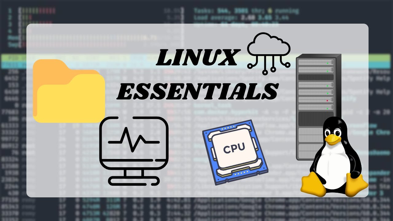 [Linux CLI] Essential Command Line Commands Everyone Should Know