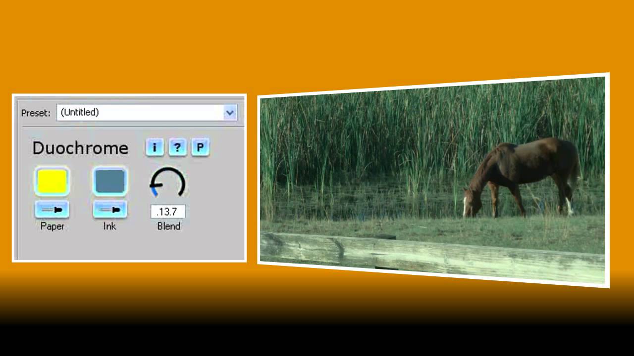 Software Tutorial for NewBlueFX