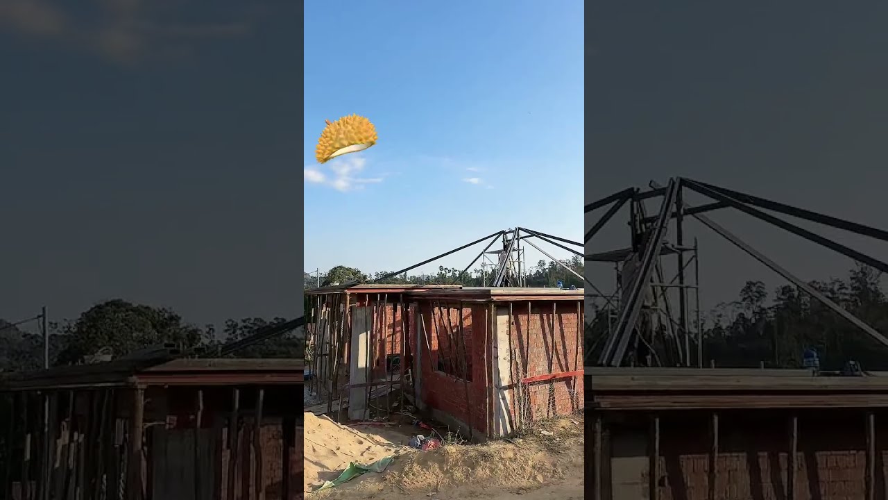 （1486）牛牛阿娜日常生活 给媳妇建房了快来看