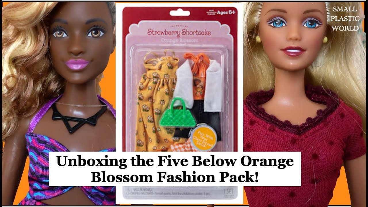 Unboxing the Five Below Orange Blossom Fashion Pack! | 2017 Fashionista & 1999 Teen Skipper model!