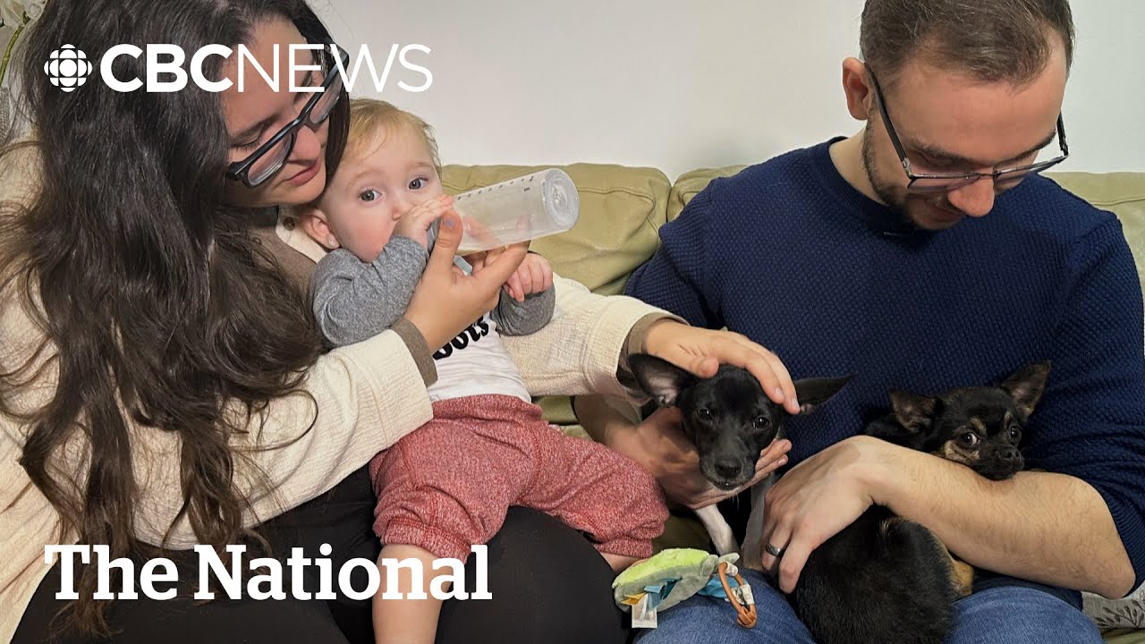 Flair Airlines denies couple from boarding with an infant and pets