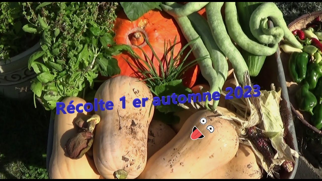 récolte d'automne 2023