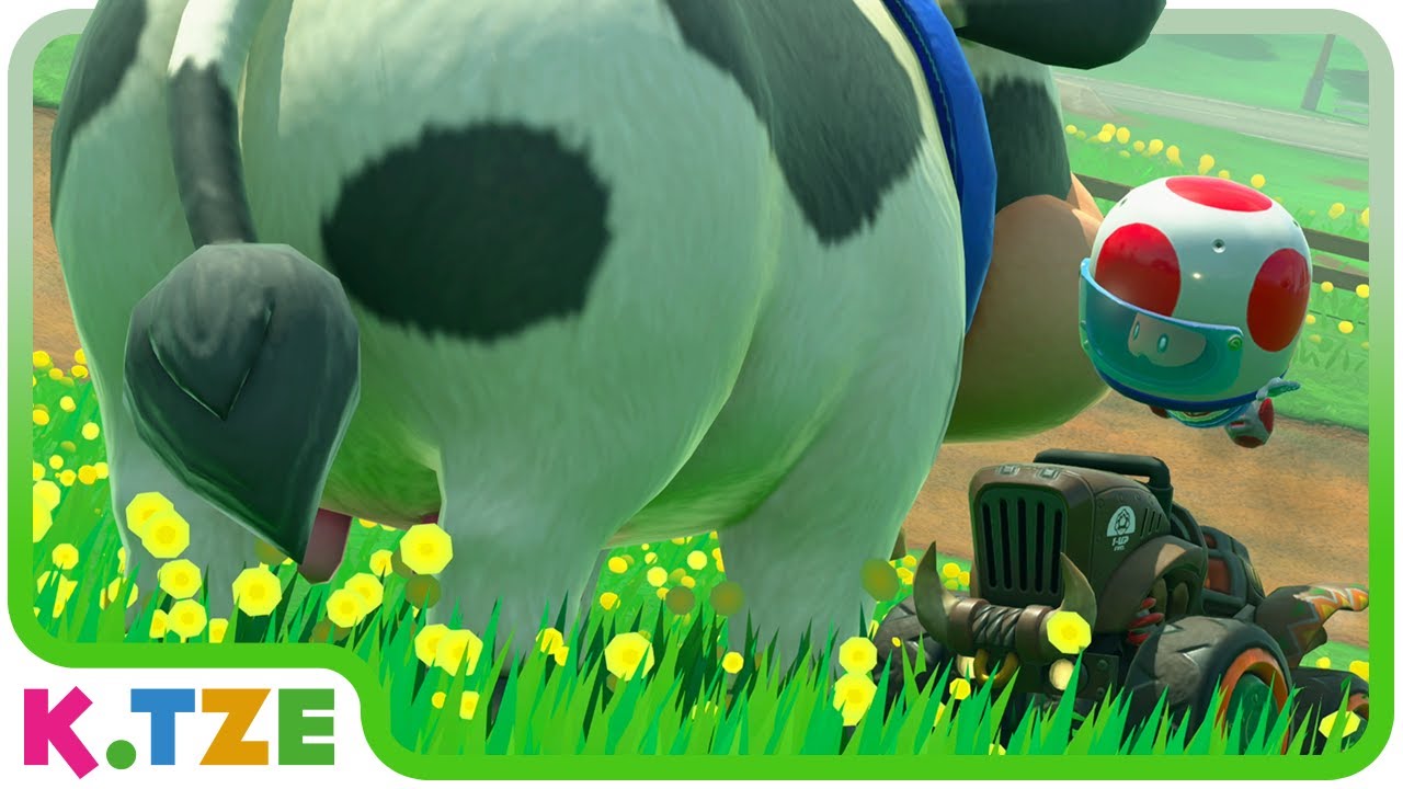 Volle Kanne in die Kühe rein 🐮😅 Mario Kart World | Herz Rallye