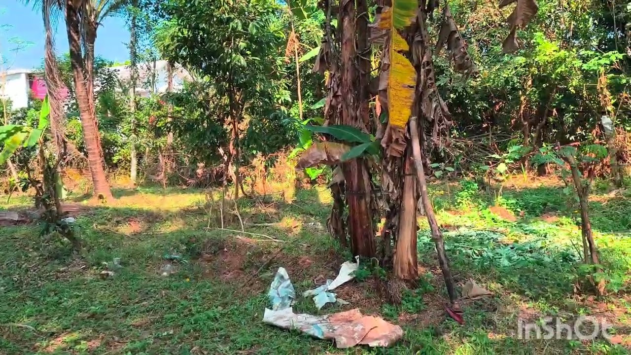 15 Cent Land For Sale at Melattur | Malappuram District