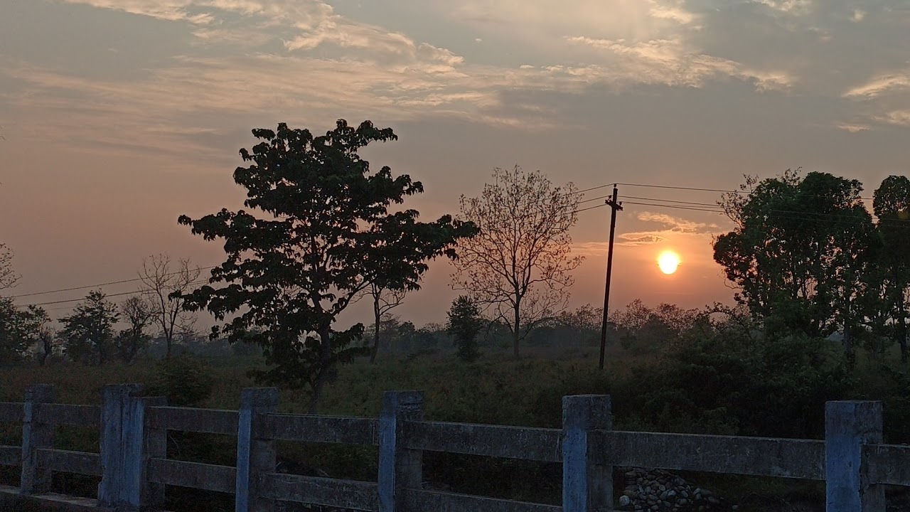 Mr. Mandip Oraon’s Live Stream Was A Tragedy