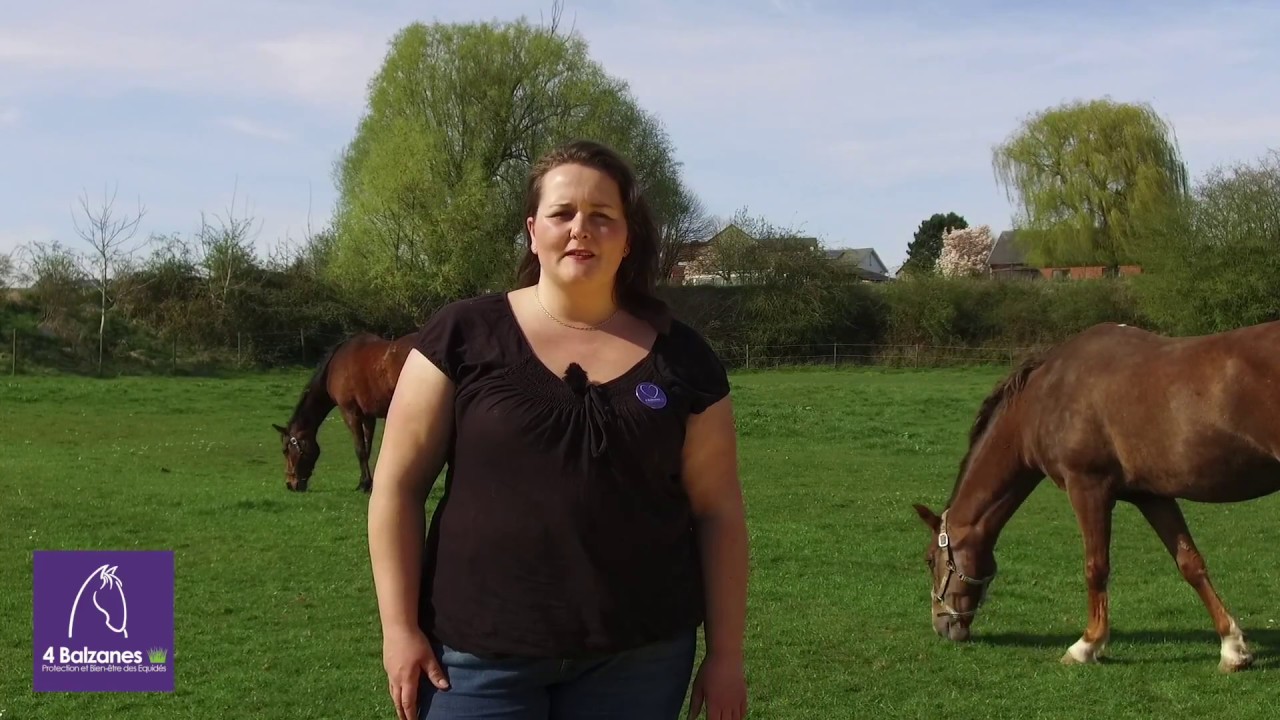 4 Balzanes - Action Briques - Ferme de Soignies (présentation)