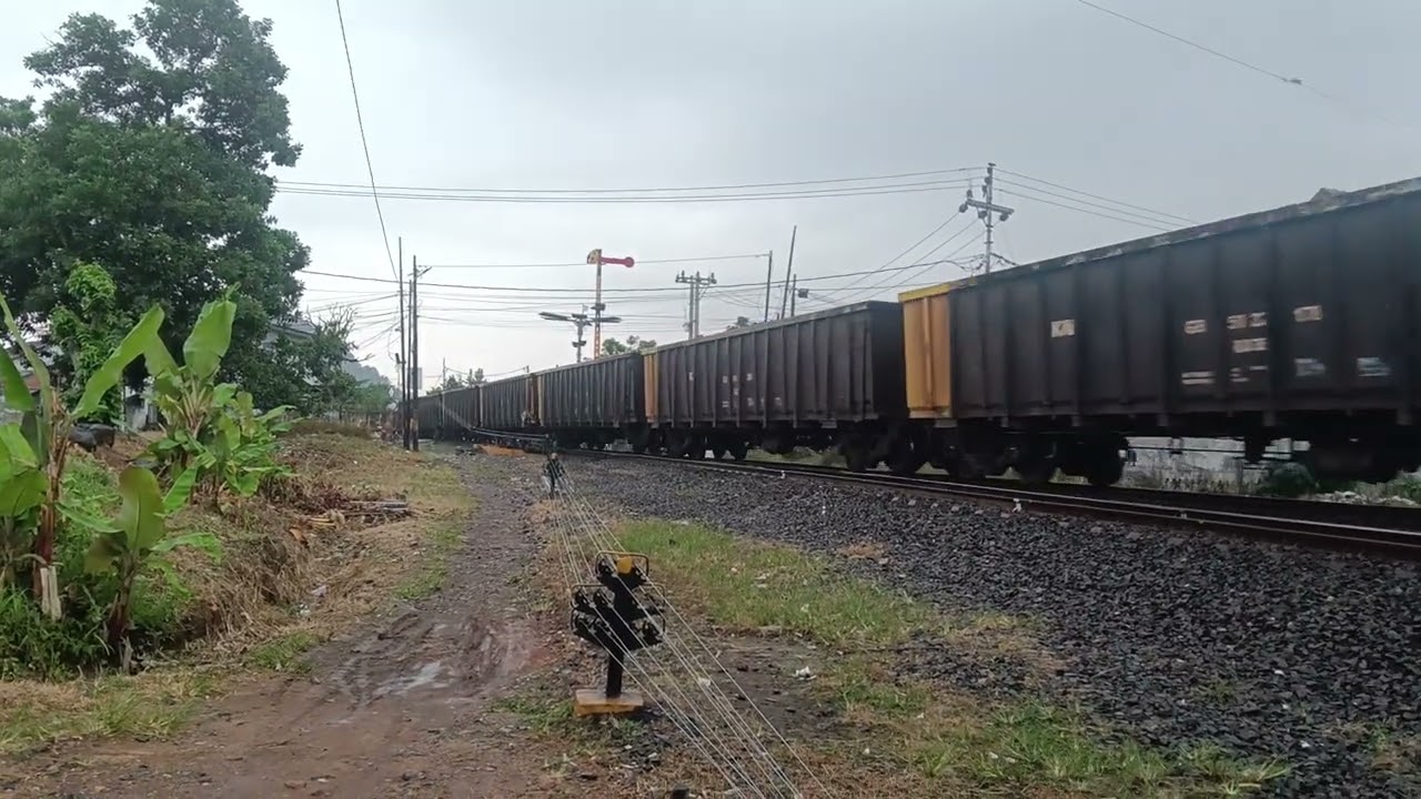 Serunya hunting saat hujan dan deru mesin Lokomotif kereta CC 205