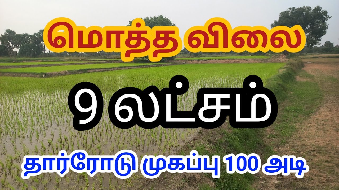 அருமையான நிலம்! 9 லட்சம் தான்! அதுவும் தார்ரோடு முகப்பில் #farmland #agriculture#trending#sale#actor