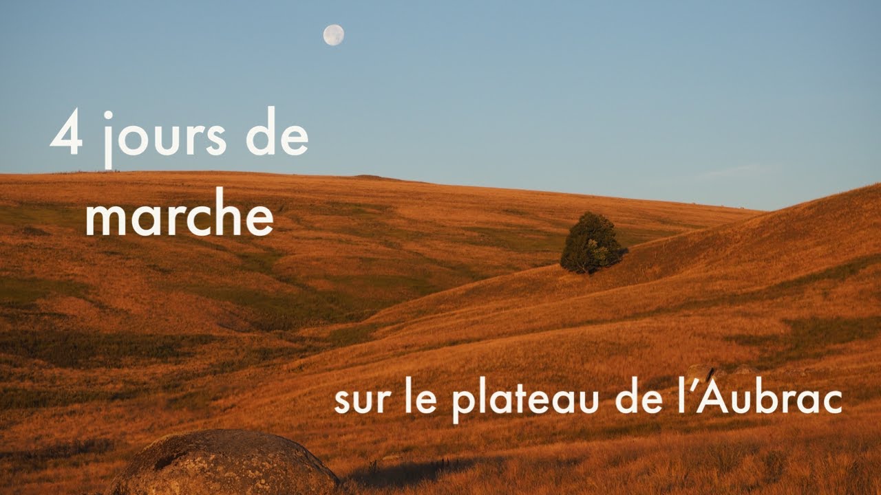 Itinérance en Aubrac : tarp, chemin de St-Jacques de Compostelle, plantes sauvages comestibles