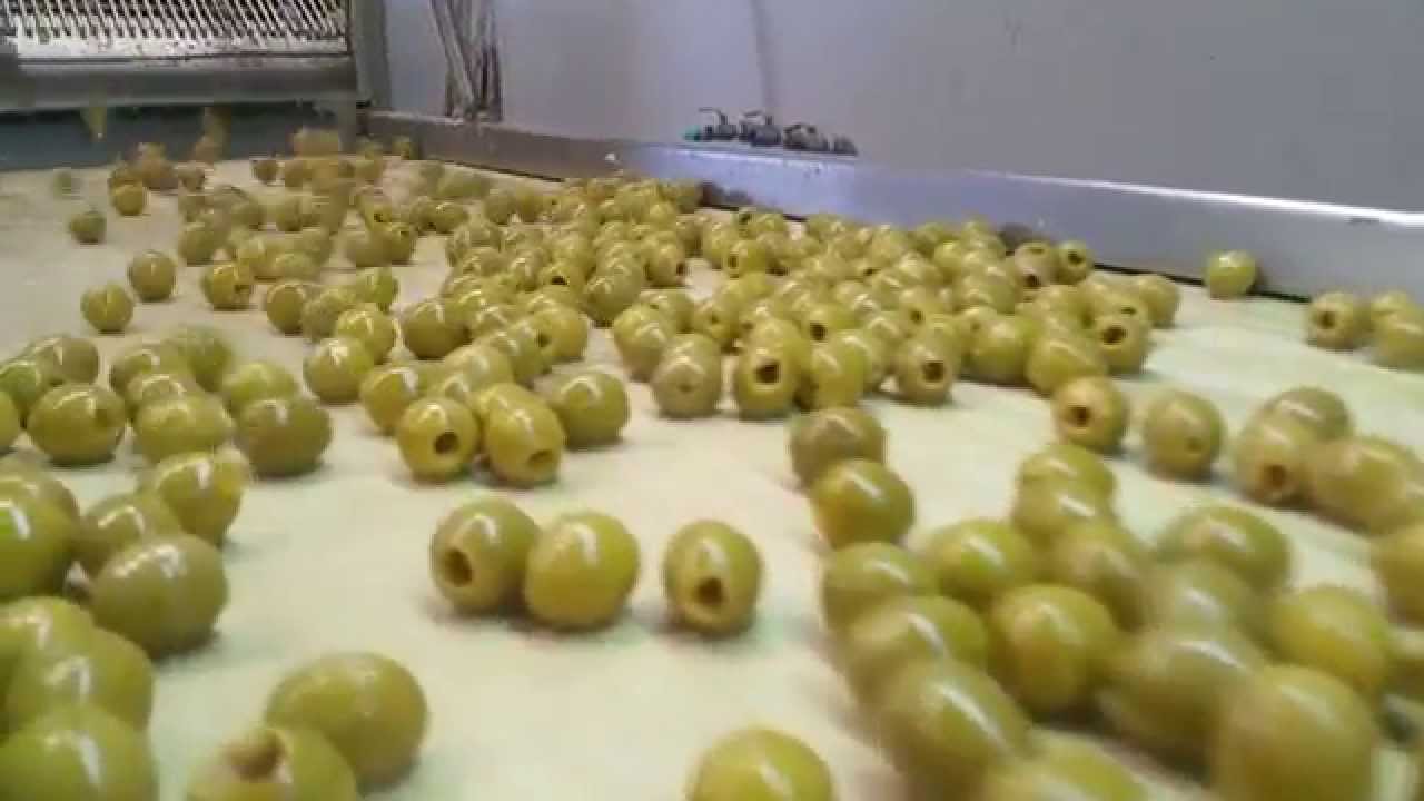 Proceso deshuesado aceitunas/Arahal Información