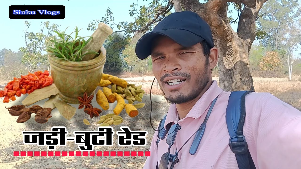 जड़ी बूटी रेड //Jangali Jadi-Butty Red//आदिवासी देशी रेड 🙏🙏🙏