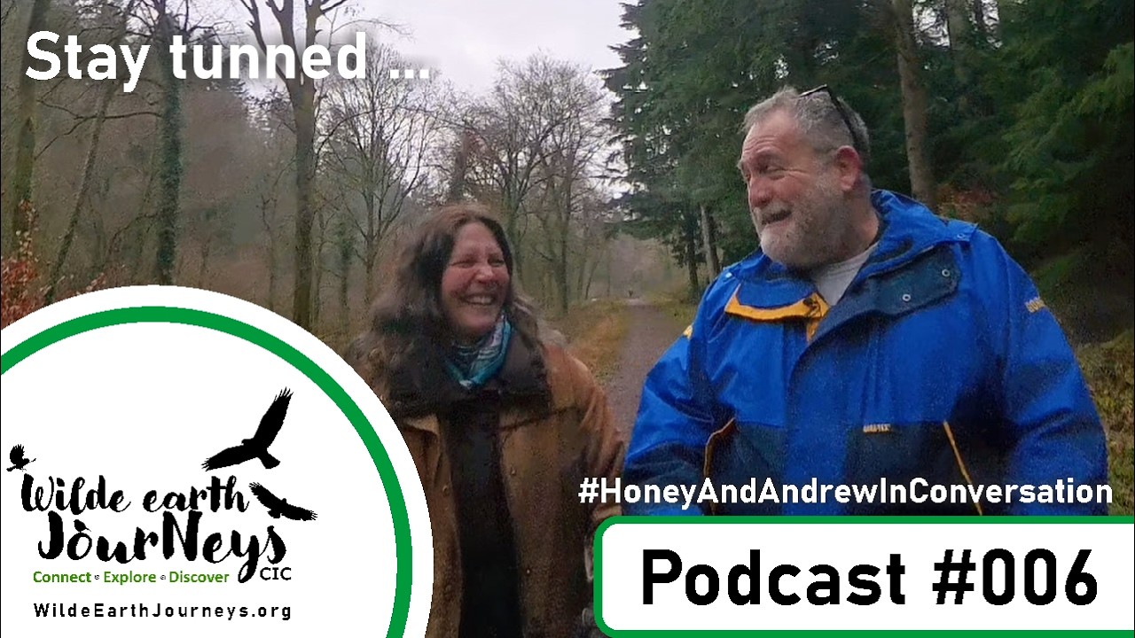 Wilde Earth Journeys: Natural Health, Forest Bathing on Prescription from the NHS #ForestofDean