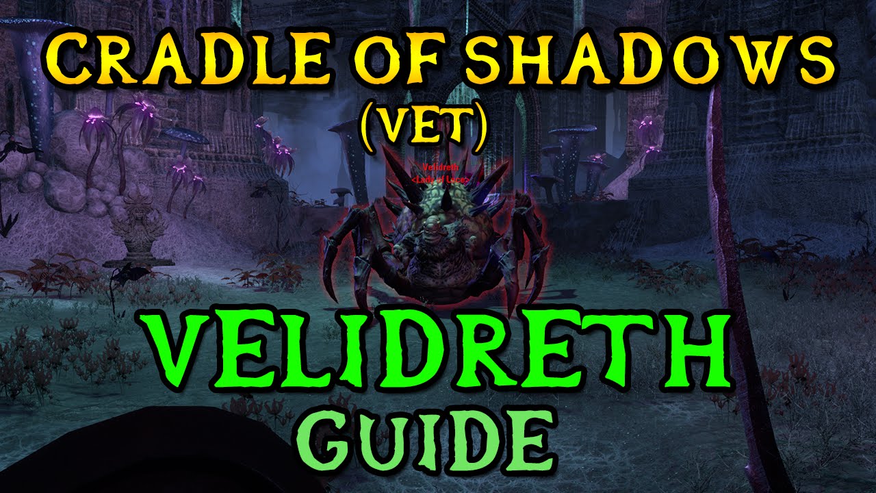Veteran Cradle of Shadows Boss Guide - VELIDRETH | Final Boss (ESO Shadows of the Hist)