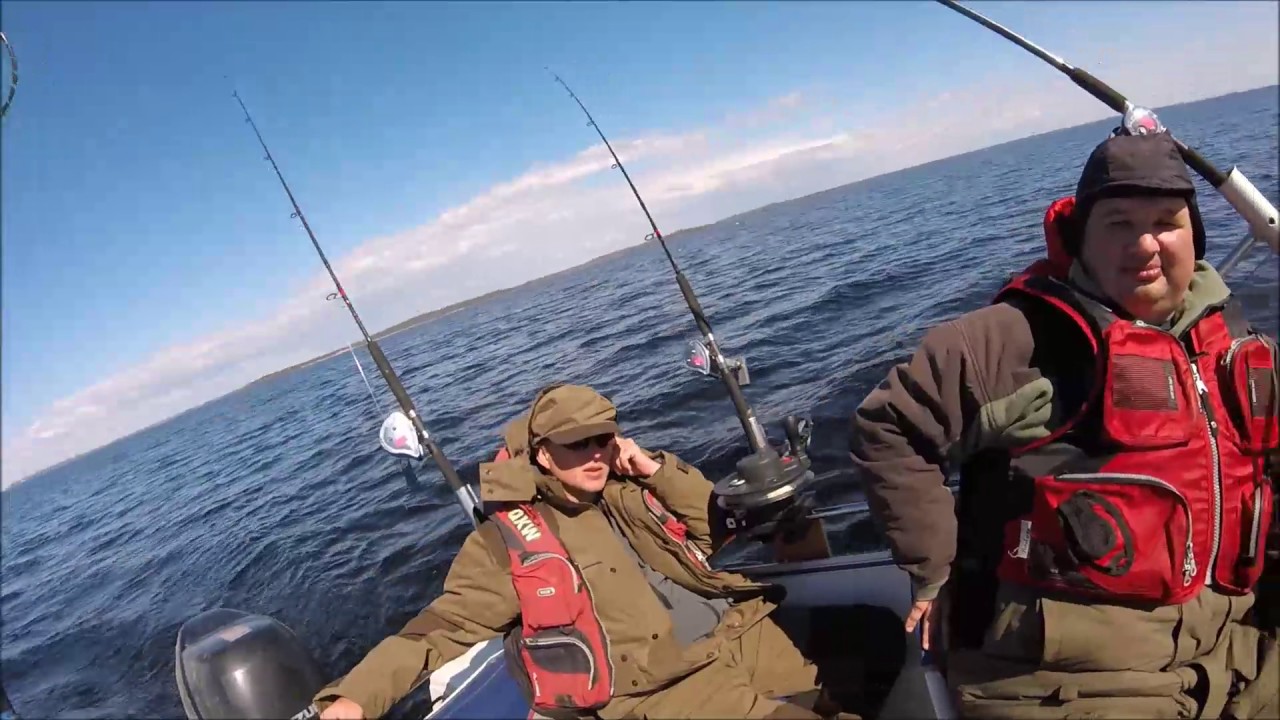 Онежское озеро. Троллинг лосося. Петроглифы.