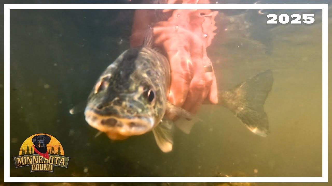 Winter River Fishing | Minnesota Bound