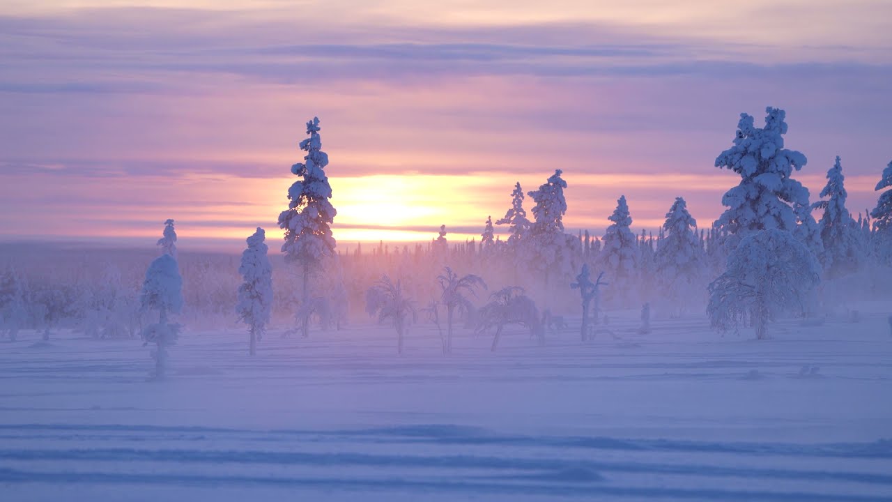Inari Saariselk&auml; Winter 2021