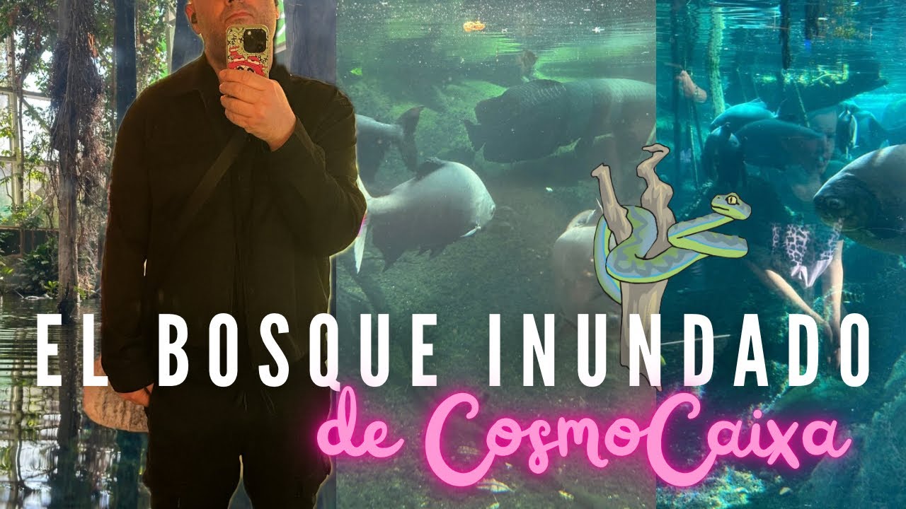 El bosque inundado del #cosmocaixa en #barcelona