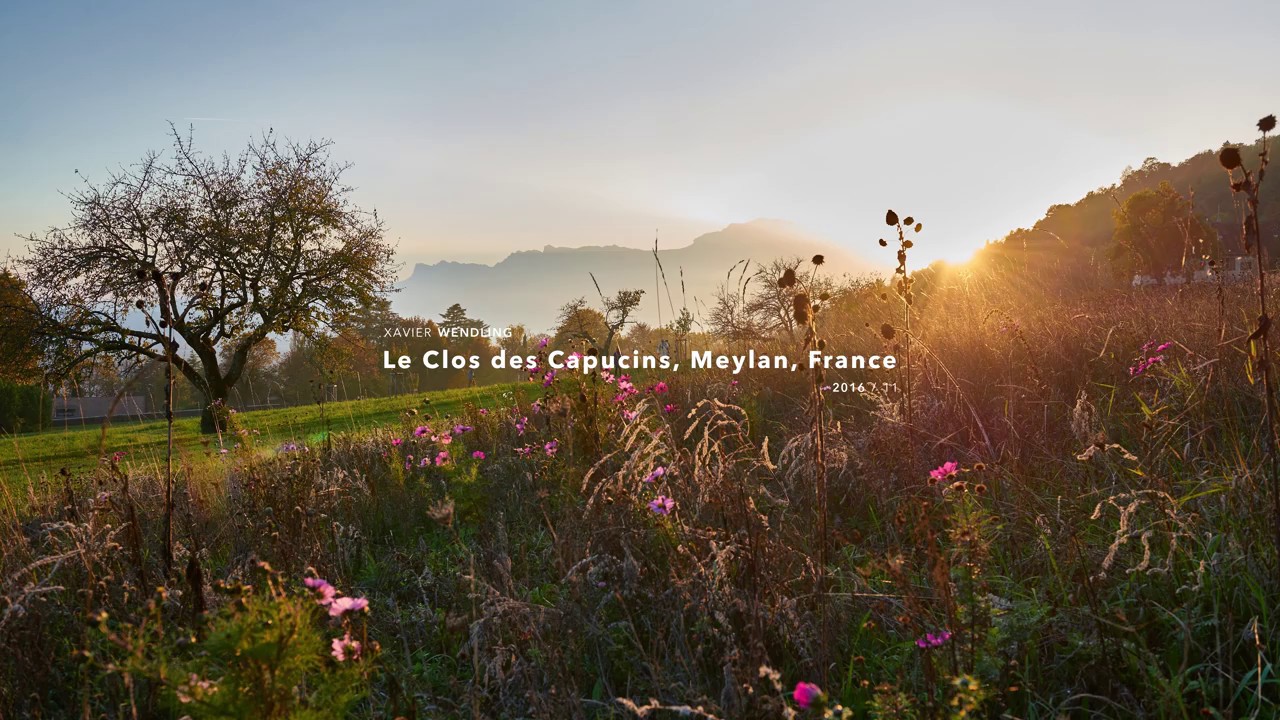 Time Lapse Short - Last rays of sun in Meylan