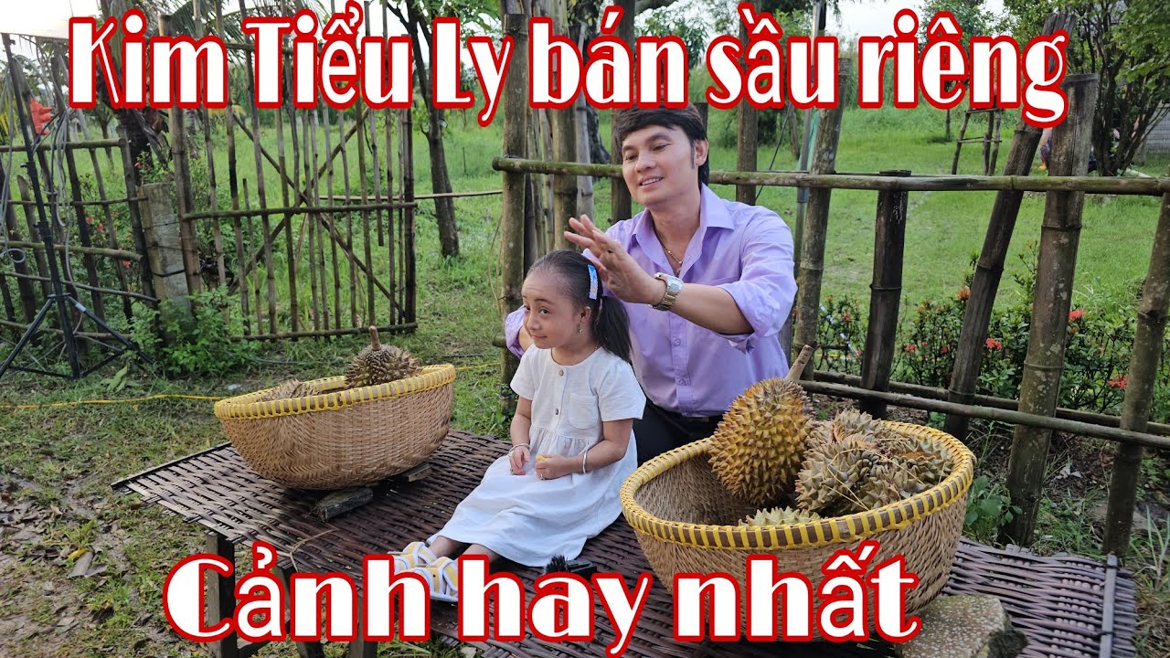 Kim Tiểu Ly bán sầu riêng ba Kim Tiểu Long mua mà cô gái đã đi lấy chồng CẢNH HAY NHẤT
