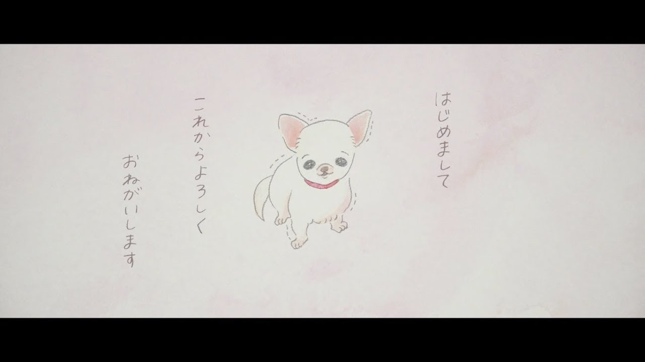 赤い首輪 / 吉田山田【MUSIC VIDEO】