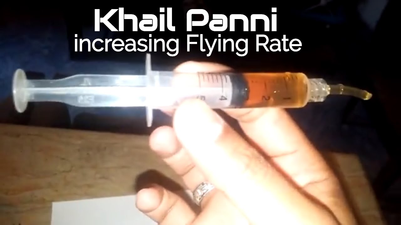 How to make Pigeons Energy feed for Performance - Khorak -Khail Panni- part 1 by Raja Farhan.
