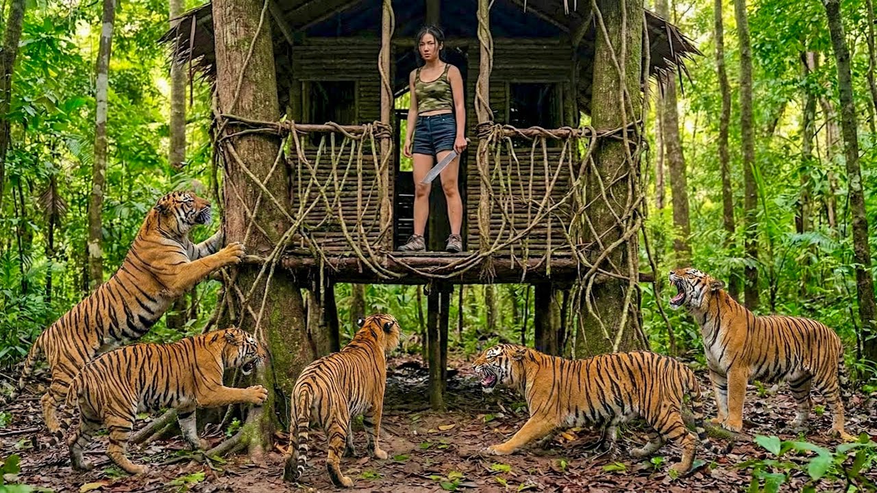 Survival in the Jungle Day 200: Build a Treehouse to Avoi TigGer Attacks