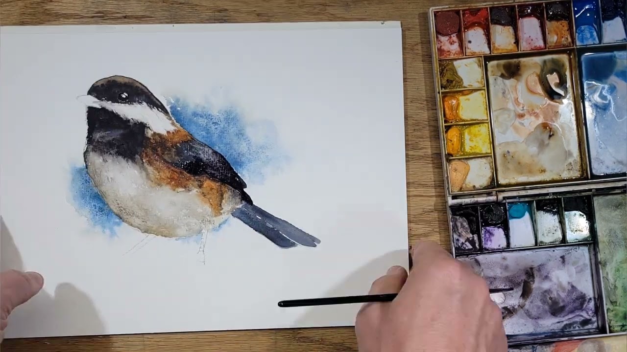 Learn how to paint a Chickadee in watercolor. Follow along with the entire process.