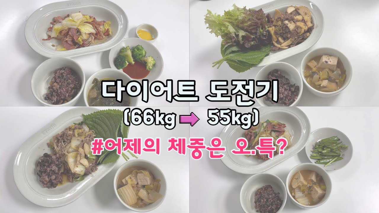 W5. 다이어트도전기 66kg ➡️ 55kg | ep.05 600g 빠지고✨ → 300g 재입고 대환장💥 