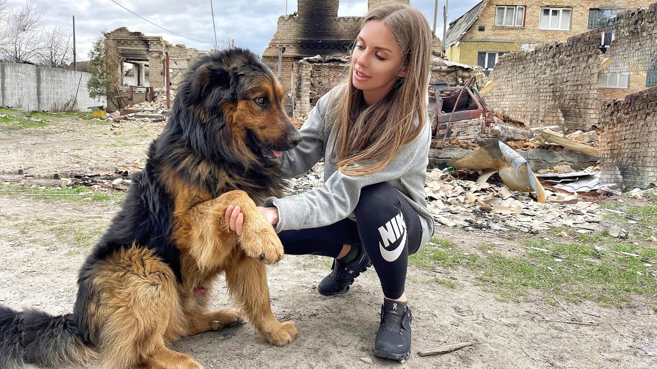 He Guarded His Burned Home for Months, Hoping His Family Would Come Back