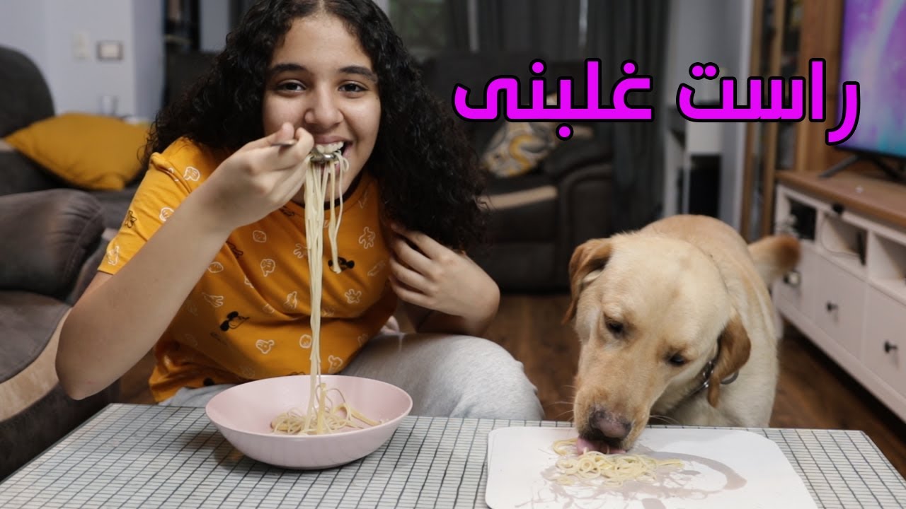 تحدى مين هياكل أسرع مع الكلب بتاعى