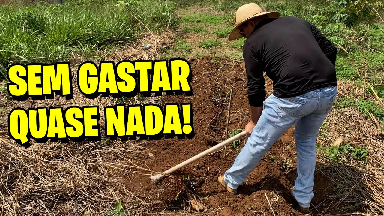 ✅  AGROFLORESTA DO ZERO. Comece com Poucas Ferramentas e Sem Recursos!