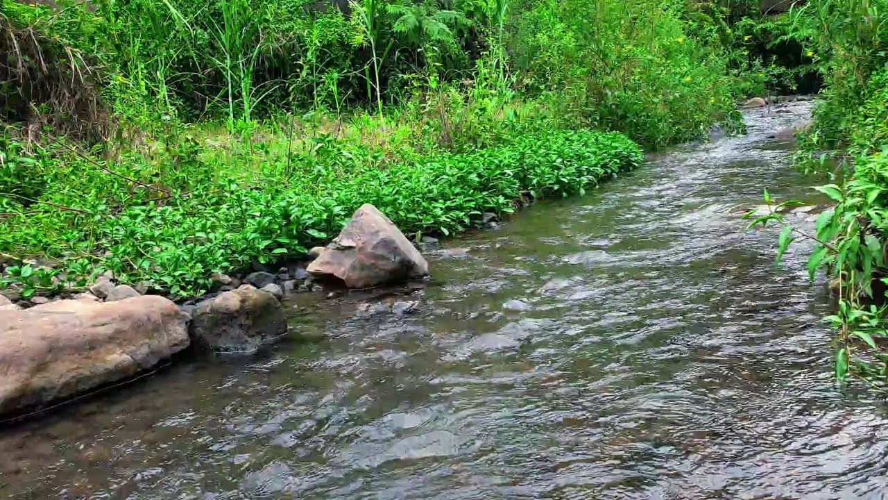 Relaxing River Water Sounds for Stress Relief | Calm Anxiety, Peaceful Mind & Emotional