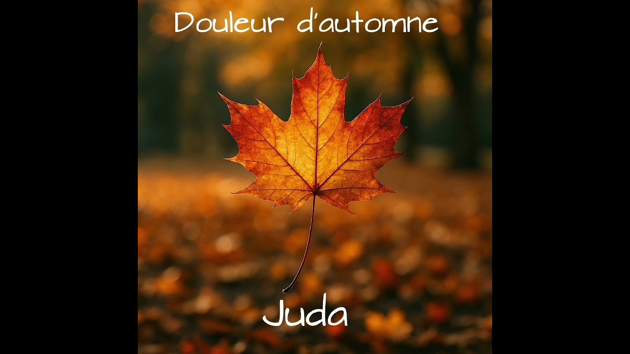 10. Je suis comme ...