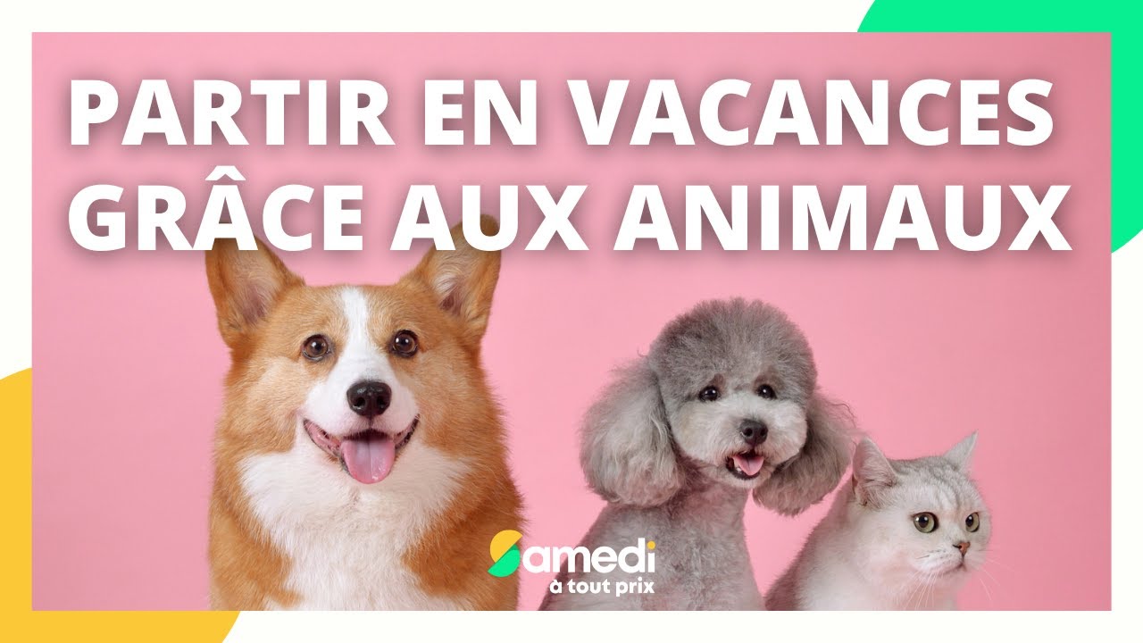 Partir en vacances grâce aux animaux des autres - Samedi à tout prix