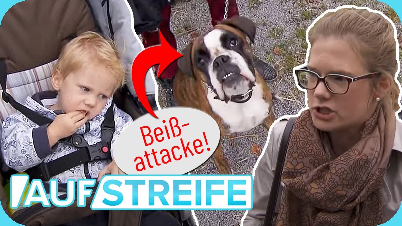 “Das Tier ist eine aggressive Bestie!” Hat der Hund Mutter & Kind angefallen? | Auf Streife | SAT.1