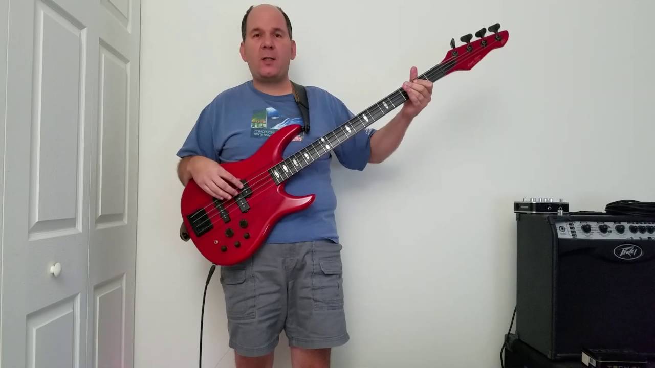 Peavey 80's Unity Series Dyna Bass LTD feature walkthru and tone demo !