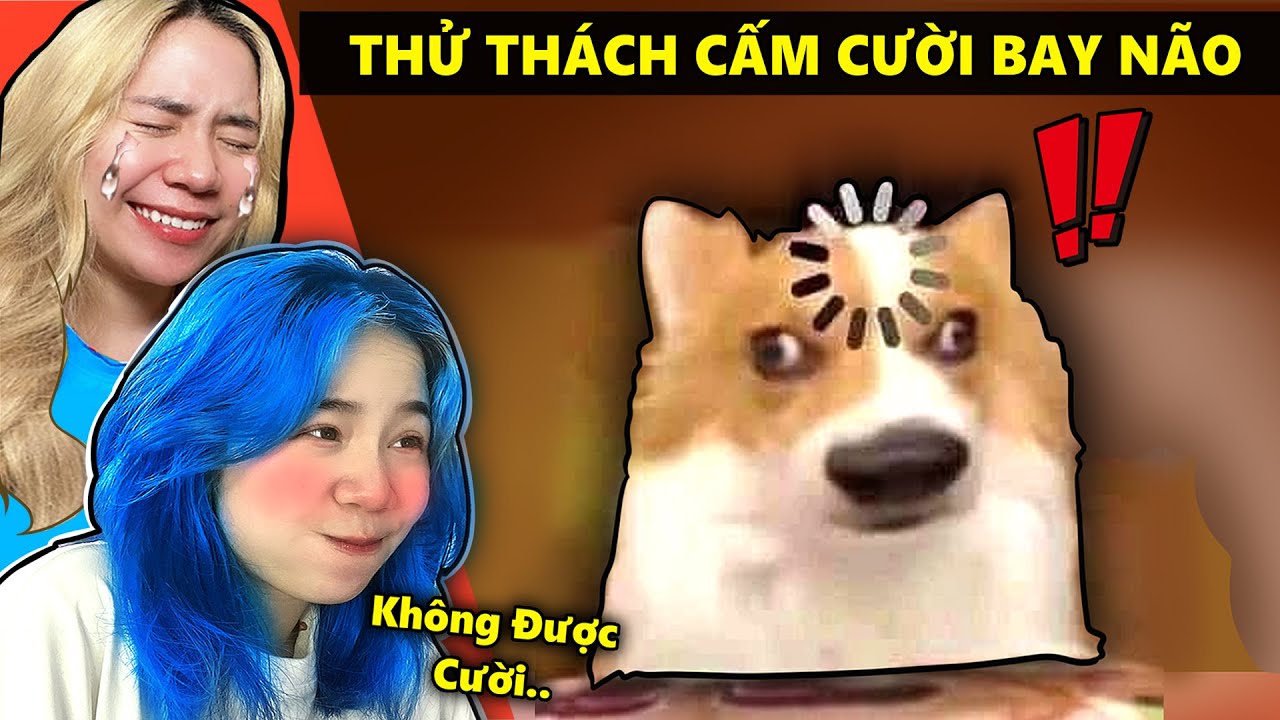 Video Này Khiến Bạn CƯỜI BAY NÃO ! | Mèo Simmy Và Sammy Thử Thách Cấm Cười |
