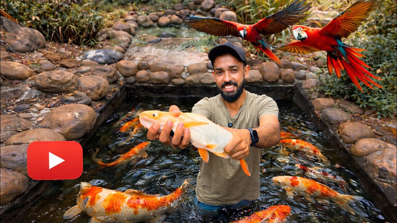 🔥ഇനി മീനുകളെ ഇടാം.. കുളം ഇങ്ങനെ ആയി | Backyard aviary update 