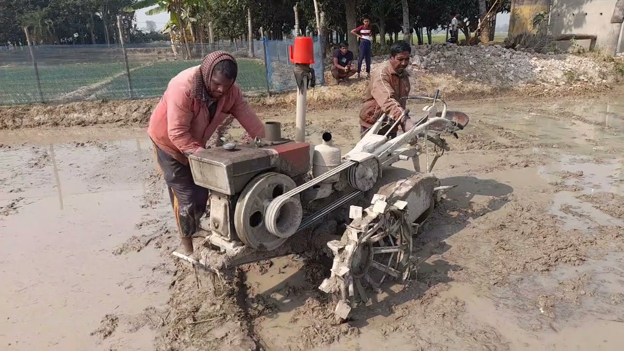 বোরো ধান আবাদের জমি চাষ করা ভিডিও নওগাঁ জেলা 