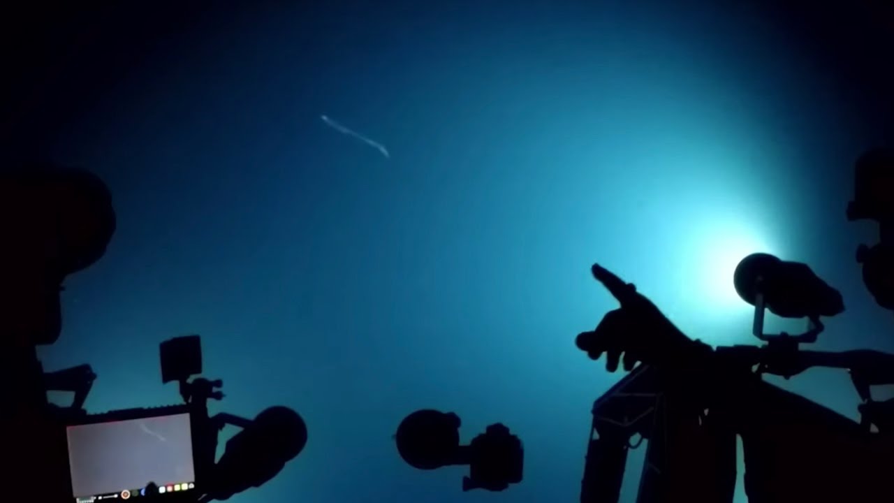 The Ocean Twilight Zone: Earth&rsquo;s Final Frontier