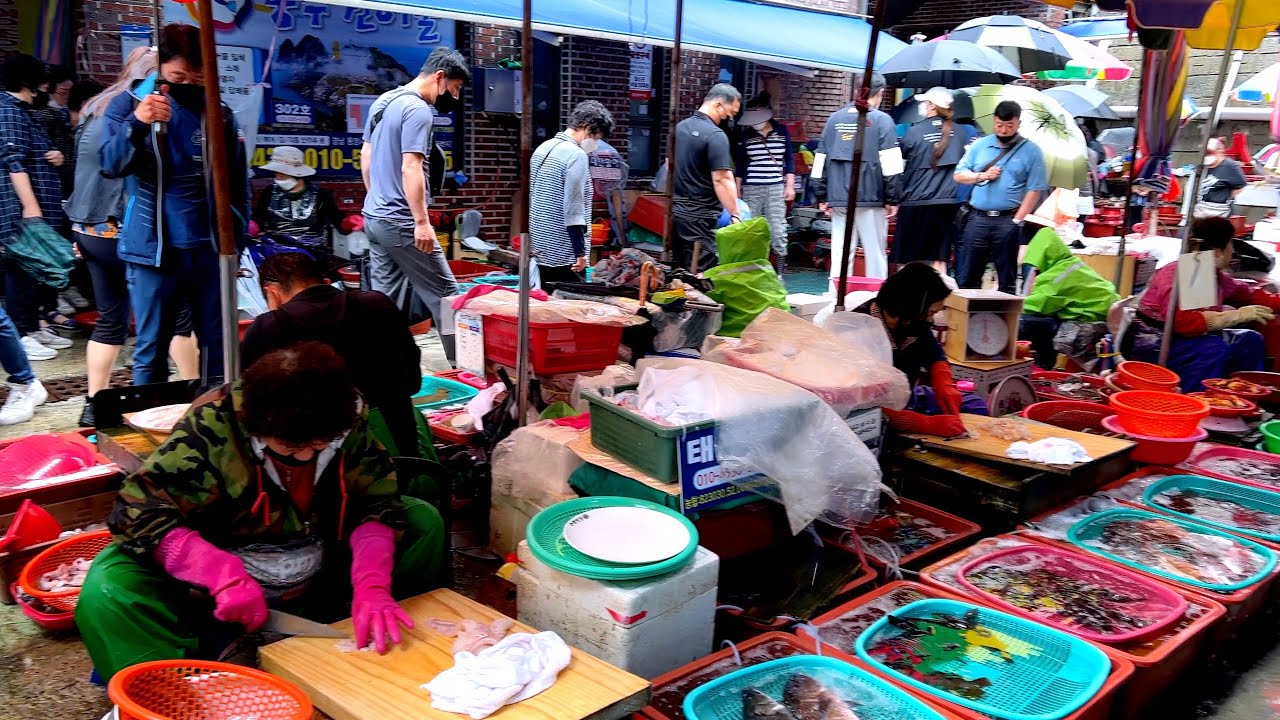 전설의 칼잡이? 빛의 속도로 회를 썰어버리는 회뜨기 할매 달인의 현란한 칼질! 통영어시장 / Korean Street sashimi, korean street food