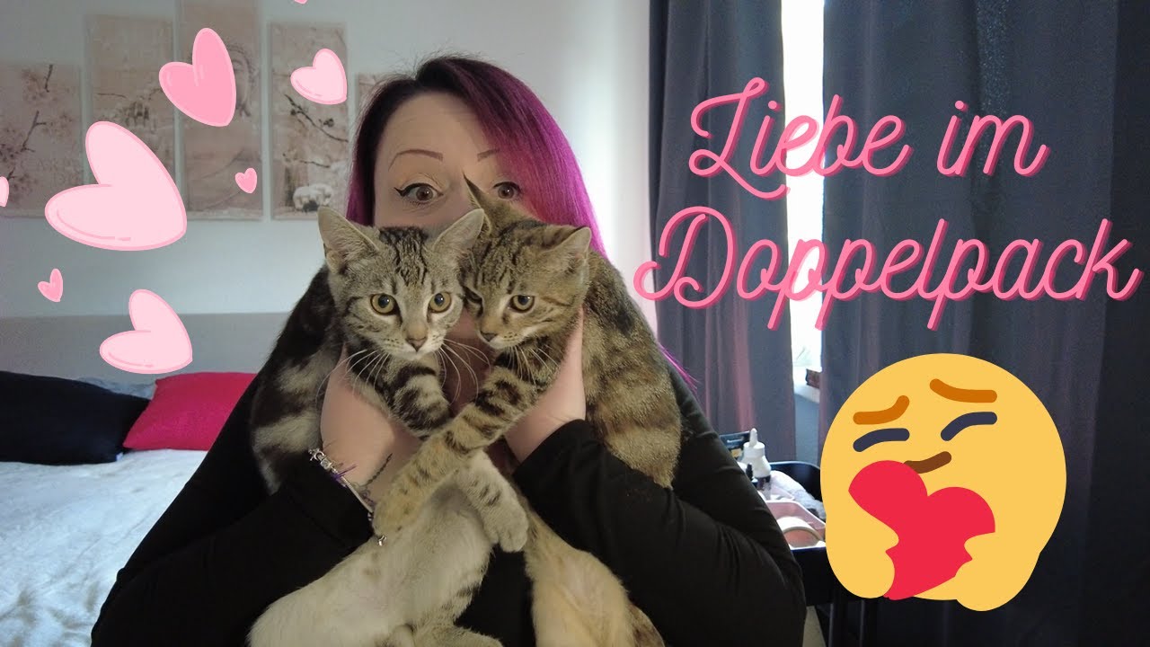 Ein Hoch auf unsere Fellfreunde 🥰😍 Diamond Painting Unboxing von *Feelook Art* 💕
