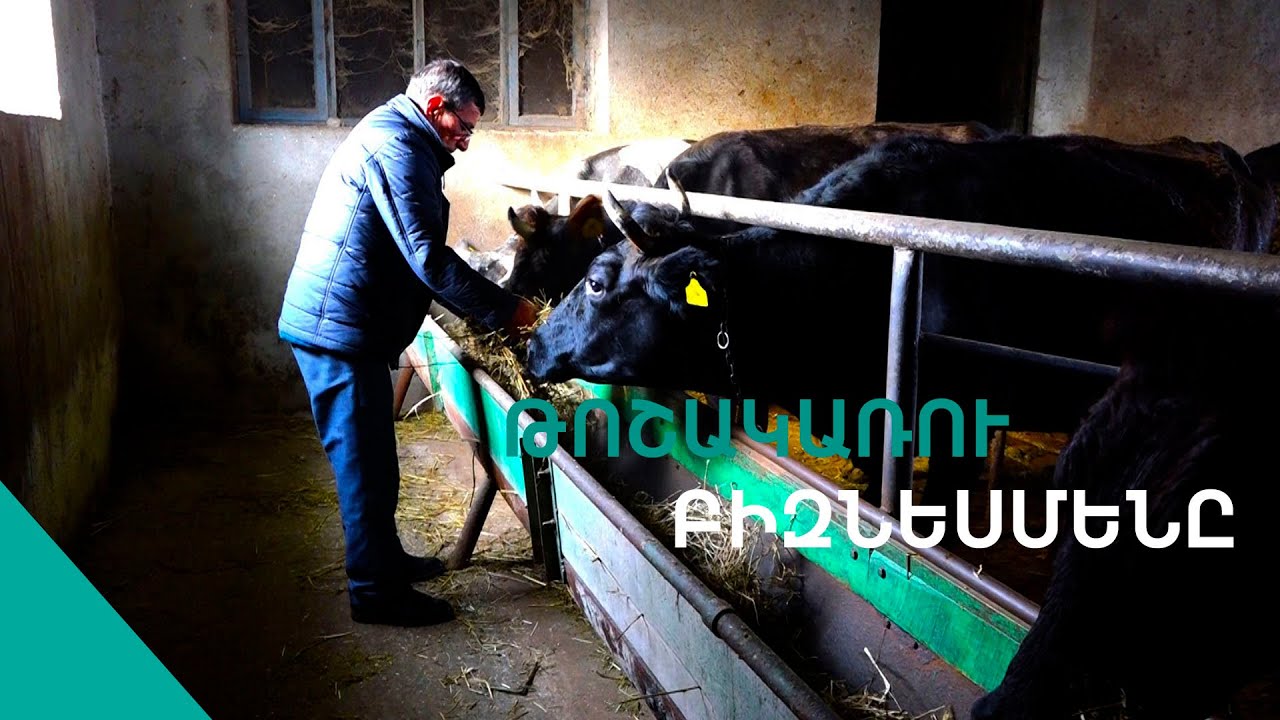 «70-անց եմ,բայց ճարպիկ բիզնեսմեն եմ,միլիոներ եմ ըշխատում»Սամվելի դրախտը
