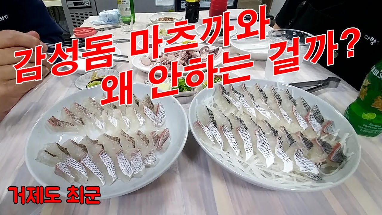 감성돔을 마츠까와 하지 않는 이유!!
