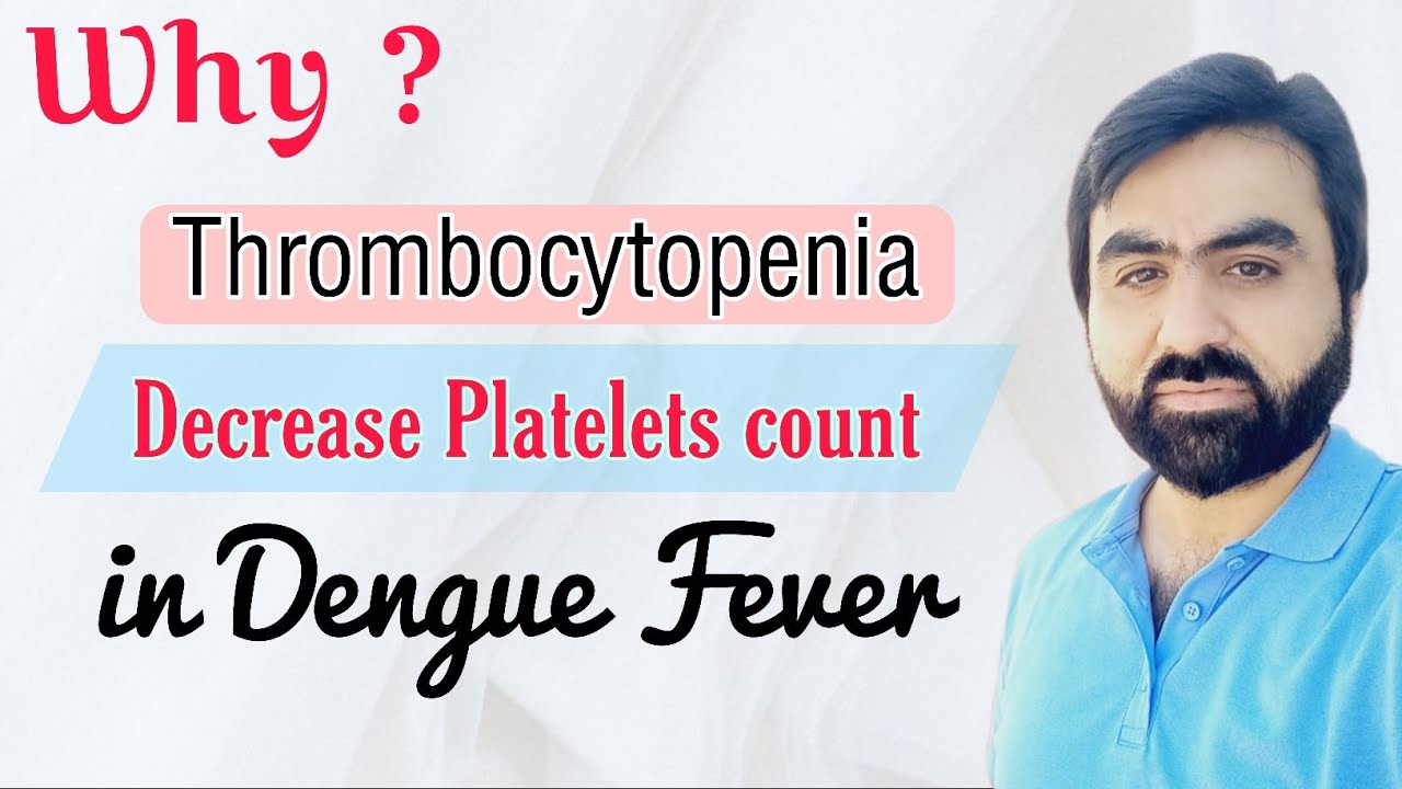 Mechanism of Thrombocytopenia in Dengue Fever| Decrease Platelets count in Dengue Fever| English